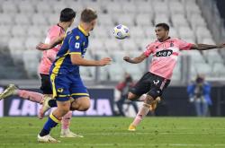 关于维罗纳大获全胜，迈向胜利的道路的信息