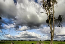 职业足球联赛的最新状况引发热议